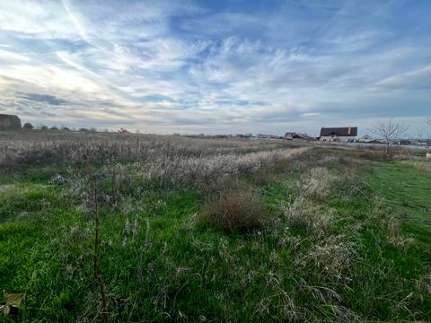ділянка за адресою смт. Овідіополь, 