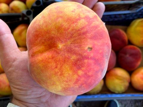 участок по адресу 16-го Июля ул., 41