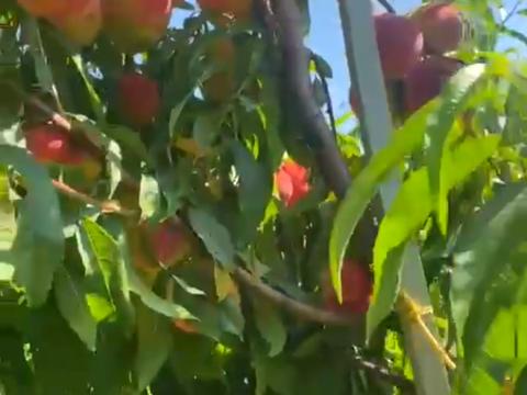 участок по адресу 16-го Июля ул., 41