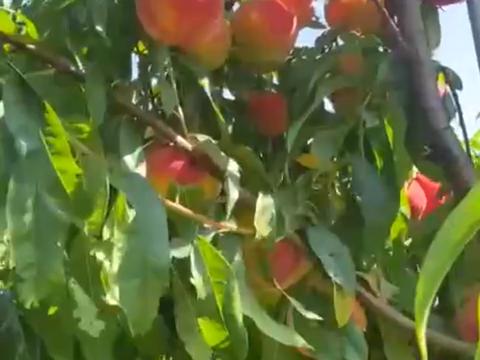 участок по адресу 16-го Июля ул., 41