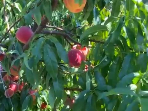 участок по адресу 16-го Июля ул., 41