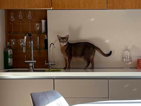 квартира по адресу Володимира Винниченка ул. (Юрія Коцюбинського), 7