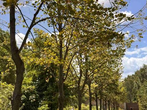 участок по адресу Озёрная ул.