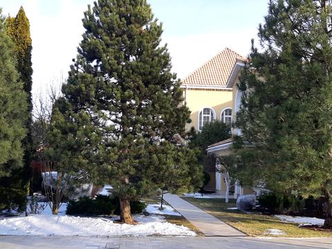 будинок за адресою Анатолія Солов'яненка вул.