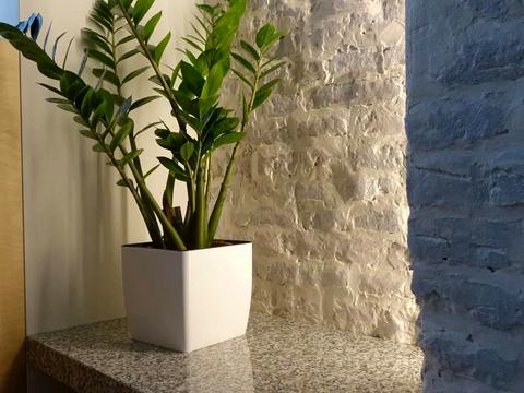 квартира по адресу Князя Ярослава Осмомысла пл., 5