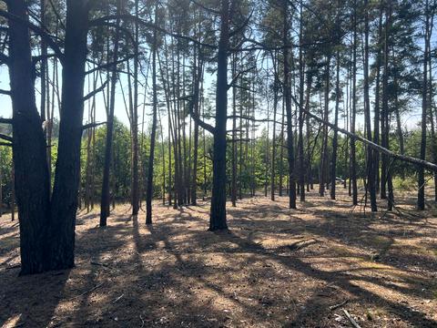 участок по адресу 