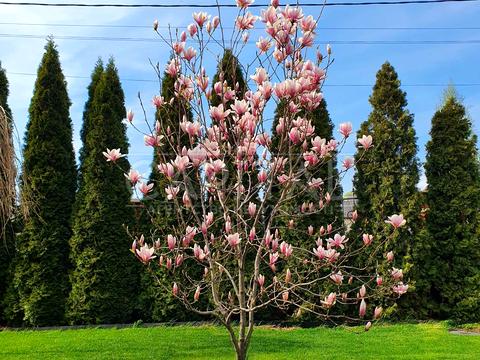 будинок за адресою Крута вул., 3