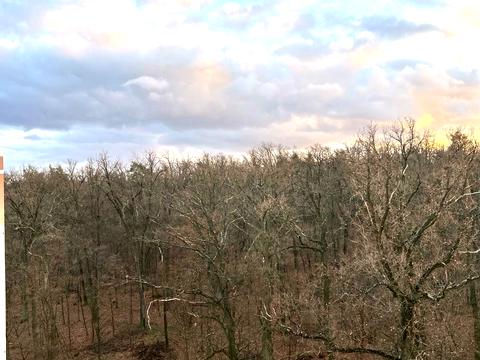 квартира за адресою Лісова вул., 1-Б