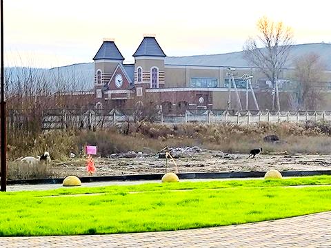 квартира за адресою Леоніда Кандюка, 18