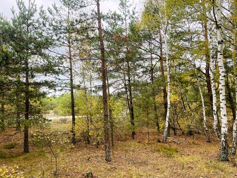 участок по адресу 