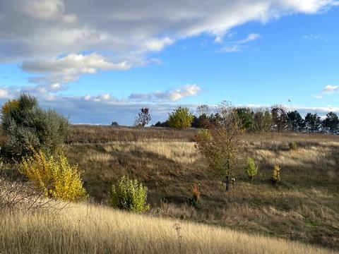 участок по адресу 