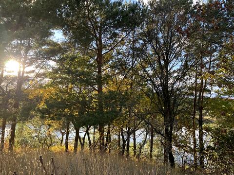 участок по адресу 