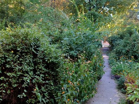 квартира за адресою Івана Мазепи просп. (Петровського), 30