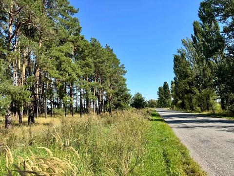 ділянка за адресою 