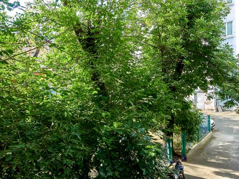 квартира за адресою Братська вул., 4