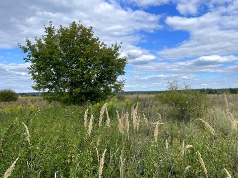 участок по адресу 