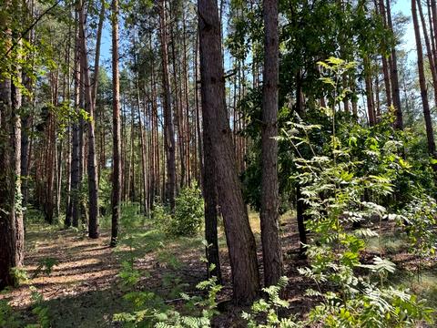 ділянка за адресою 