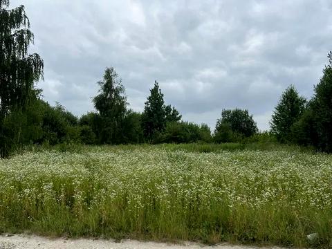 участок по адресу Поршнянська