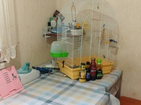 квартира по адресу Европейская ул., 6