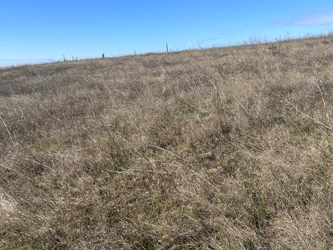 ділянка за адресою смт. Овідіополь, 