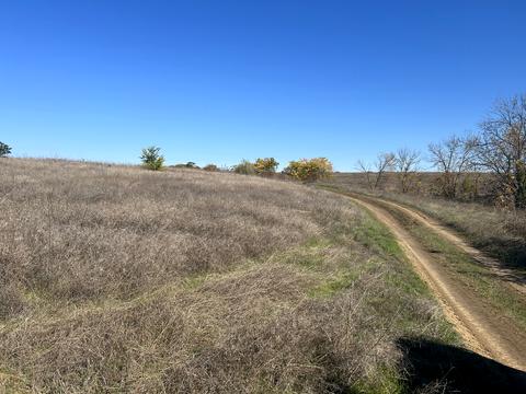 ділянка за адресою смт. Овідіополь, 
