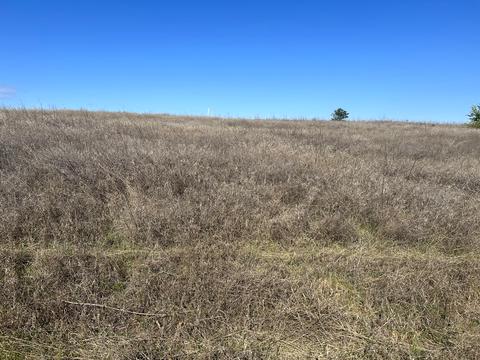 ділянка за адресою смт. Овідіополь, 