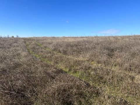 ділянка за адресою смт. Овідіополь, 