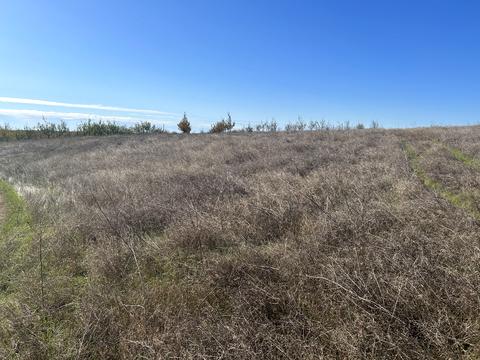 ділянка за адресою смт. Овідіополь, 