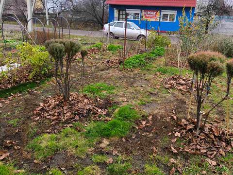 дом по адресу Абрикосова