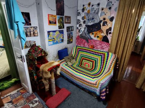 дом по адресу Абрикосова