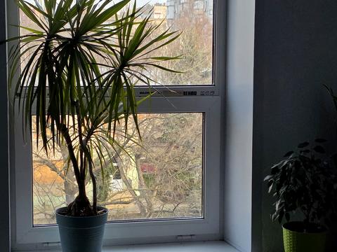 квартира за адресою Богоявленський просп. (Жовтневий), 8