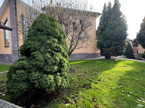 дом по адресу 4-й Гниванское пер., 22