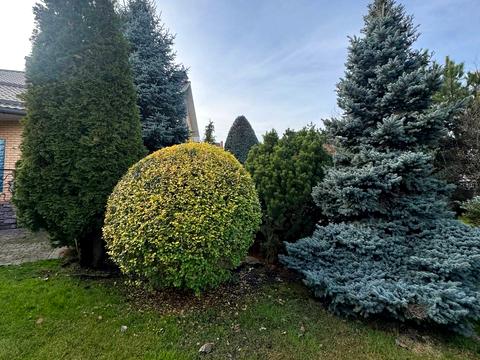 дом по адресу 4-й Гниванское пер., 22