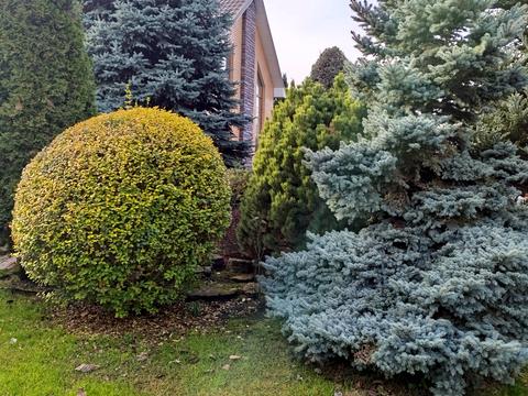 дом по адресу 4-й Гниванское пер., 22