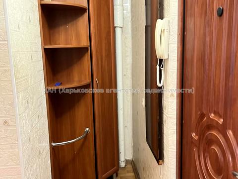 квартира по адресу Юбилейный просп. (50-летия ВЛКСМ), 34а