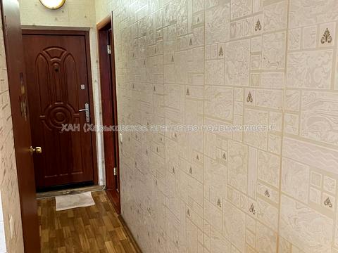 квартира по адресу Юбилейный просп. (50-летия ВЛКСМ), 34а