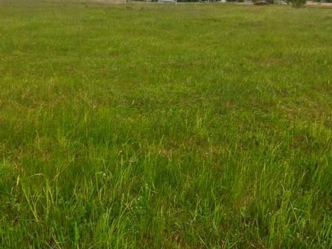 участок по адресу с. Гоголев, 