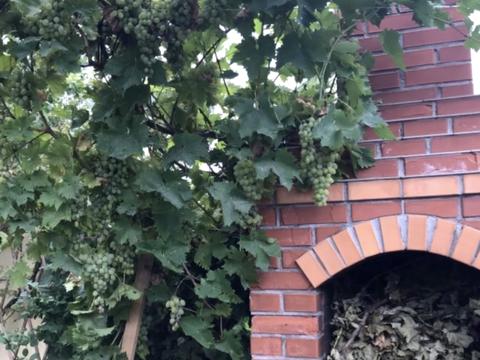 будинок за адресою смт. Великодолинське, Центральна вул., 1