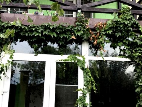 будинок за адресою смт. Великодолинське, Центральна вул., 1