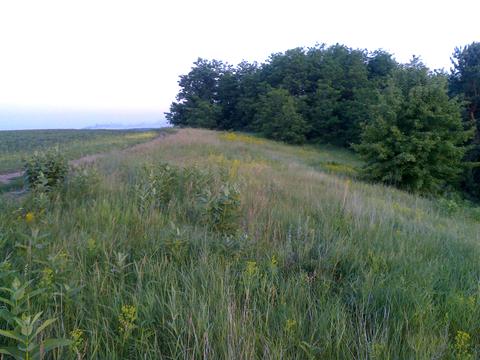 участок по адресу 