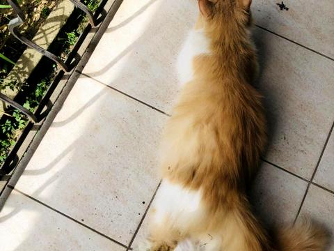 квартира за адресою Вузька вул., 111