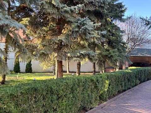 дом по адресу Шевченка, 5а