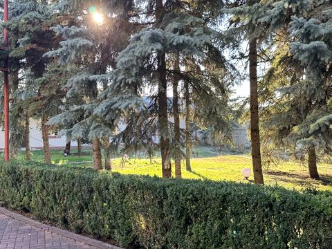 дом по адресу Шевченка, 5а