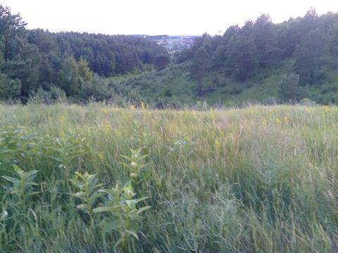 участок по адресу 