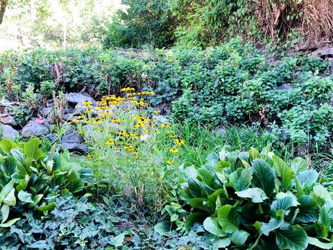 квартира по адресу Собранецкая ул., 112