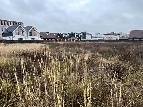 ділянка за адресою Курінна