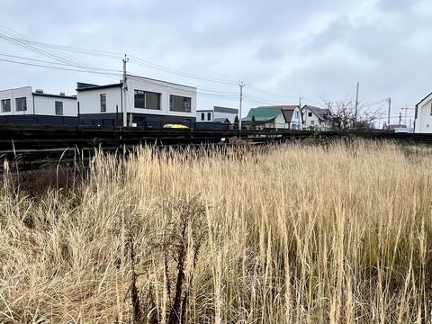 ділянка за адресою Курінна