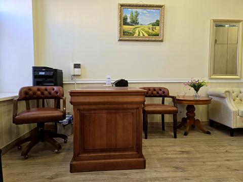 комерційна за адресою Панаса Мирного вул., 9