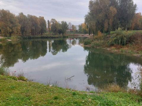 квартира по адресу Озёрная ул., 2