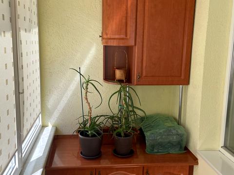 квартира по адресу Нежинская ул., 29в